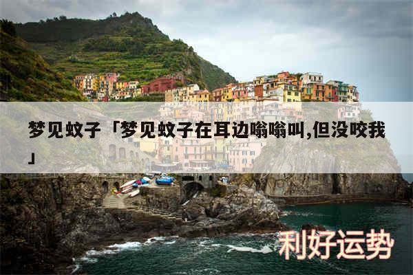 梦见蚊子及梦见蚊子在耳边嗡嗡叫,但没咬我
