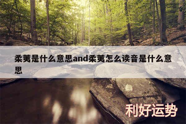 柔荑是什么意思and柔荑怎么读音是什么意思