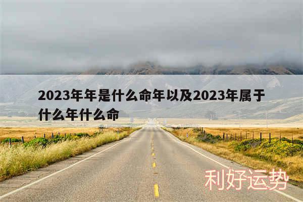 2024年年是什么命年以及2024年属于什么年什么命