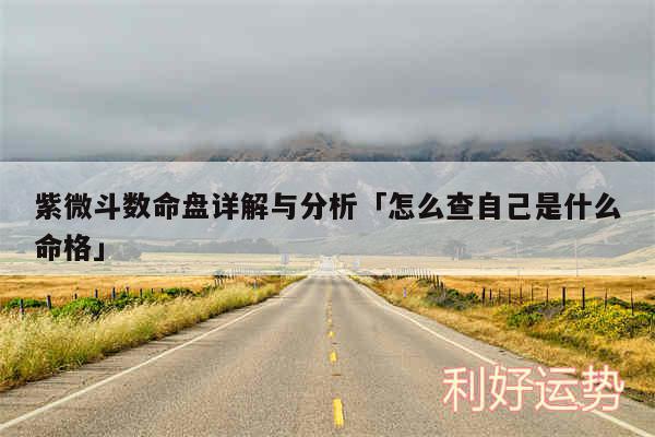 紫微斗数命盘详解与分析及怎么查自己是什么命格