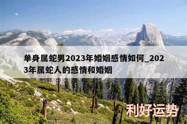 单身属蛇男2024年婚姻感情如何_2024年属蛇人的感情和婚姻