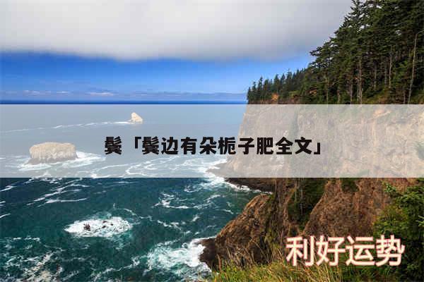 鬓及鬓边有朵栀子肥全文