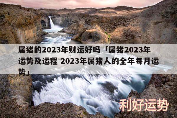 属猪的2024年财运好吗及属猪2024年运势及运程 2024年属猪人的全年每月运势