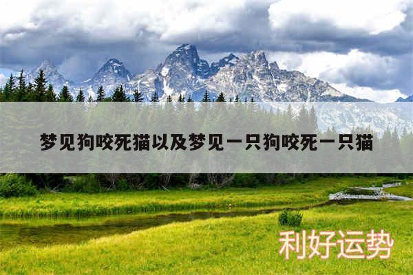 梦见狗咬死猫以及梦见一只狗咬死一只猫