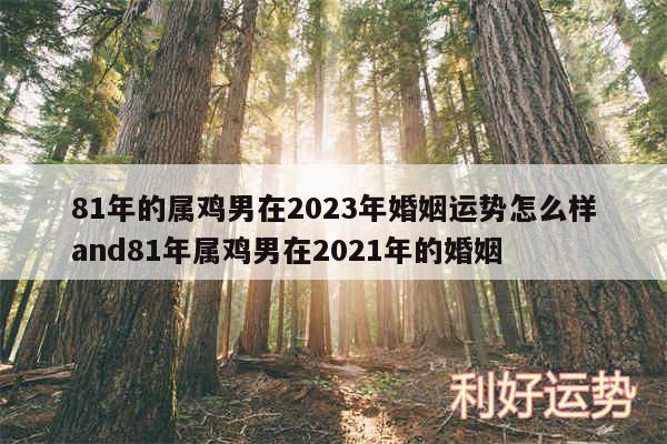 81年的属鸡男在2024年婚姻运势怎么样and81年属鸡男在2024年的婚姻