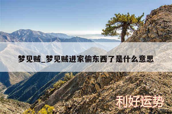 梦见贼_梦见贼进家偷东西了是什么意思