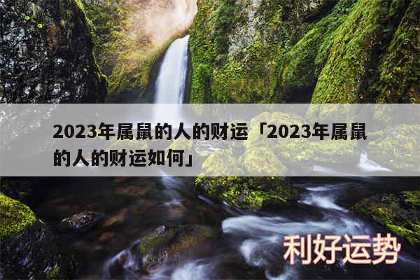 2024年属鼠的人的财运及2024年属鼠的人的财运如何