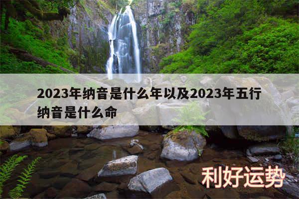 2024年纳音是什么年以及2024年五行纳音是什么命