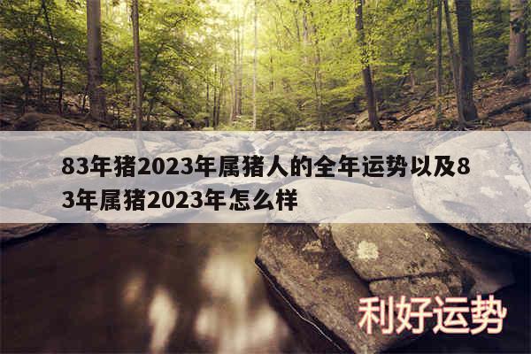 83年猪2024年属猪人的全年运势以及83年属猪2024年怎么样