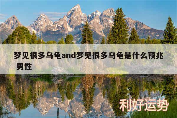 梦见很多乌龟and梦见很多乌龟是什么预兆 男性