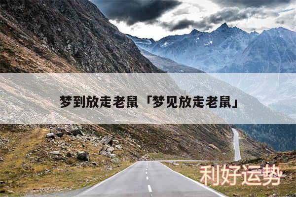 梦到放走老鼠及梦见放走老鼠
