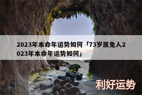 2024年本命年运势如何及73岁属兔人2024年本命年运势如何