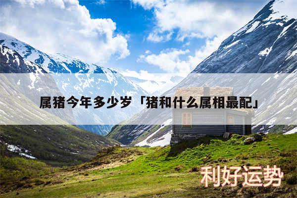 属猪今年多少岁及猪和什么属相最配
