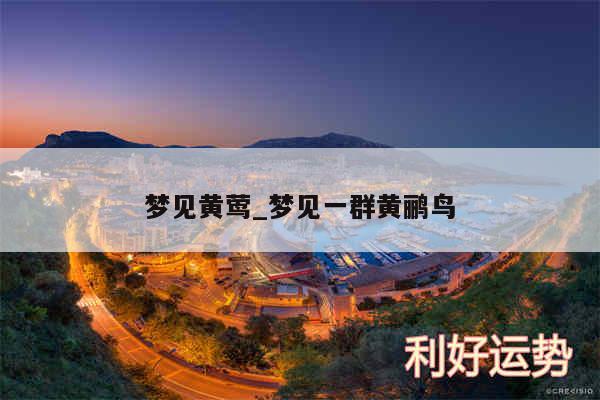 梦见黄莺_梦见一群黄鹂鸟