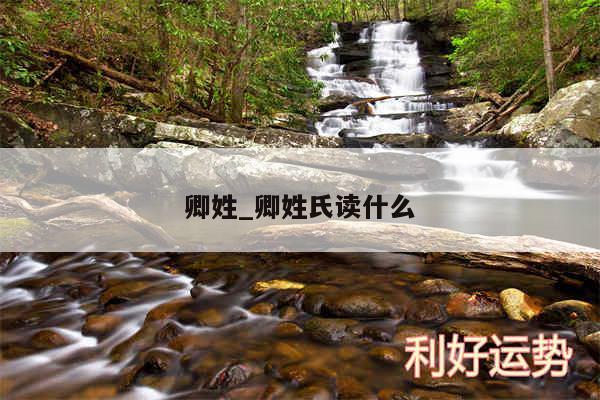 卿姓_卿姓氏读什么