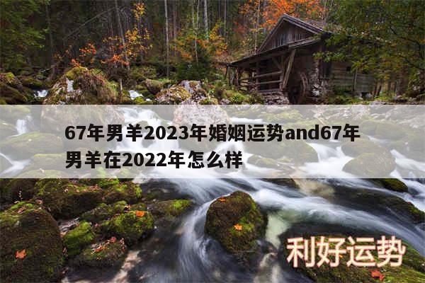 67年男羊2024年婚姻运势and67年男羊在2024年怎么样