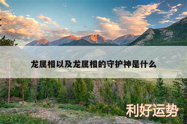 龙属相以及龙属相的守护神是什么