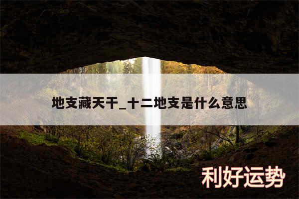 地支藏天干_十二地支是什么意思