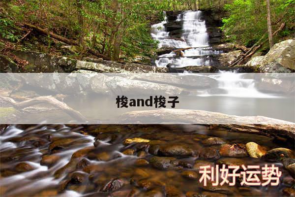 梭and梭子
