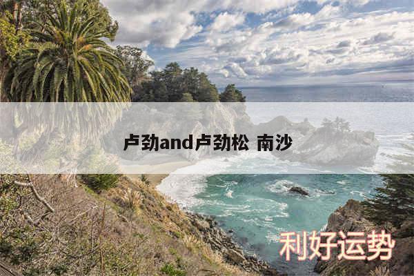 卢劲and卢劲松 南沙