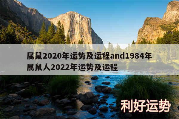 属鼠2020年运势及运程and1984年属鼠人2024年运势及运程