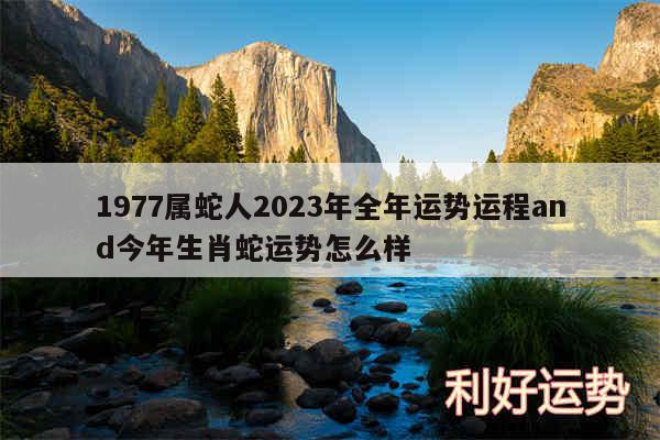 1977属蛇人2024年全年运势运程and今年生肖蛇运势怎么样