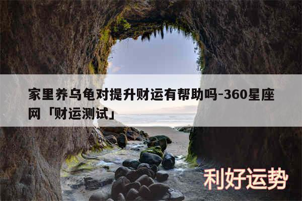 家里养乌龟对提升财运有帮助吗-360星座网及财运测试