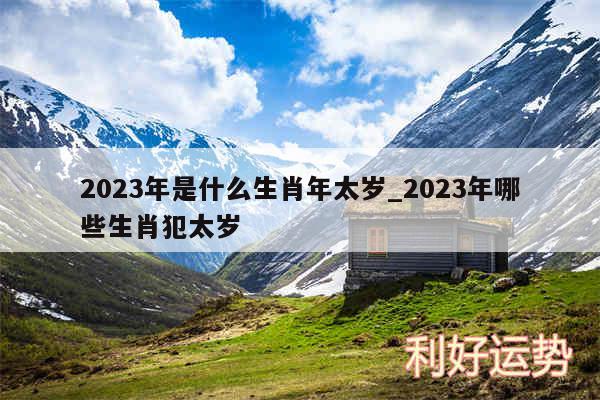 2024年是什么生肖年太岁_2024年哪些生肖犯太岁