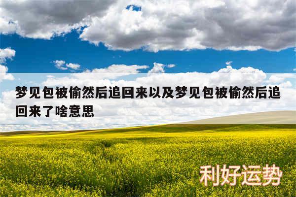 梦见包被偷然后追回来以及梦见包被偷然后追回来了啥意思