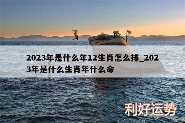 2024年是什么年12生肖怎么排_2024年是什么生肖年什么命