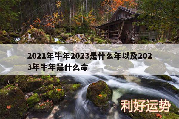 2024年牛年2024是什么年以及2024年牛年是什么命