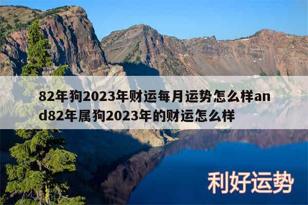 82年狗2024年财运每月运势怎么样and82年属狗2024年的财运怎么样