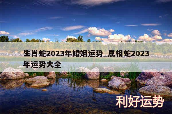 生肖蛇2024年婚姻运势_属相蛇2024年运势大全