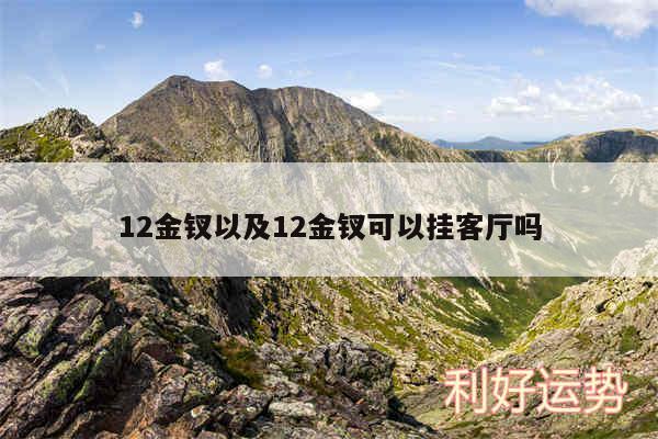 12金钗以及12金钗可以挂客厅吗