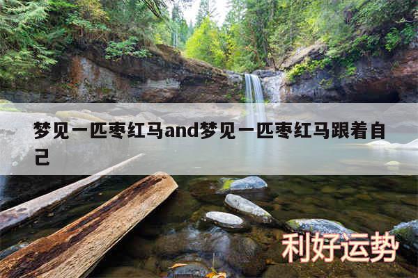 梦见一匹枣红马and梦见一匹枣红马跟着自己