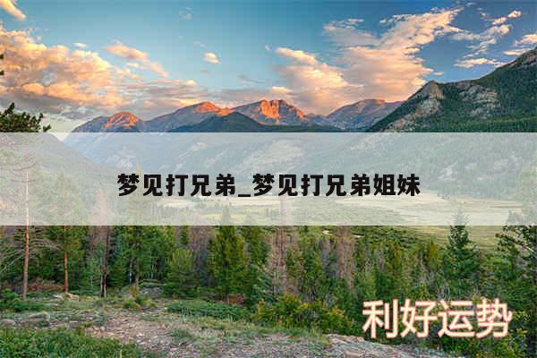 梦见打兄弟_梦见打兄弟姐妹