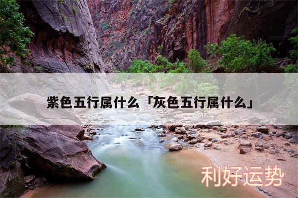 紫色五行属什么及灰色五行属什么