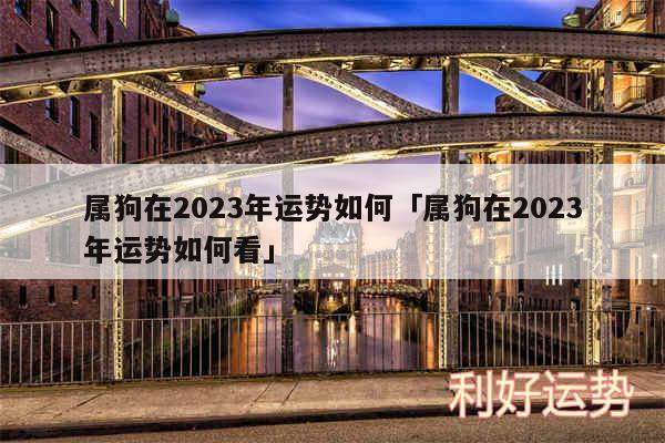 属狗在2024年运势如何及属狗在2024年运势如何看