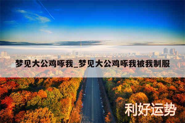 梦见大公鸡啄我_梦见大公鸡啄我被我制服