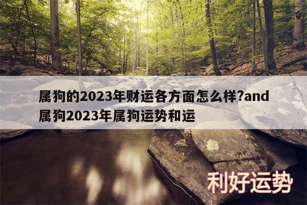 属狗的2024年财运各方面怎么样?and属狗2024年属狗运势和运