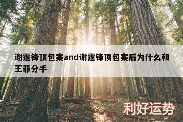 谢霆锋顶包案and谢霆锋顶包案后为什么和王菲分手