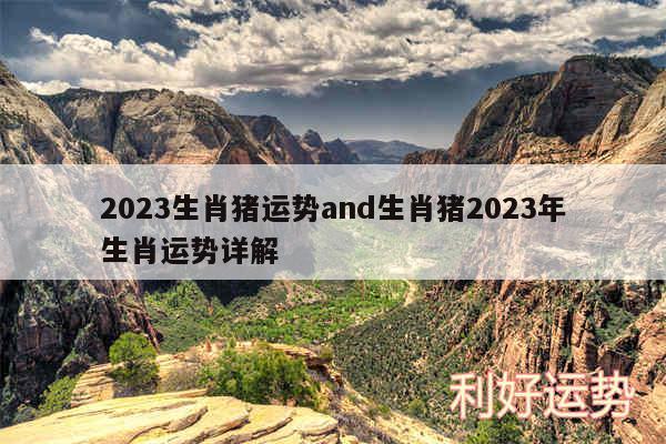 2024生肖猪运势and生肖猪2024年生肖运势详解