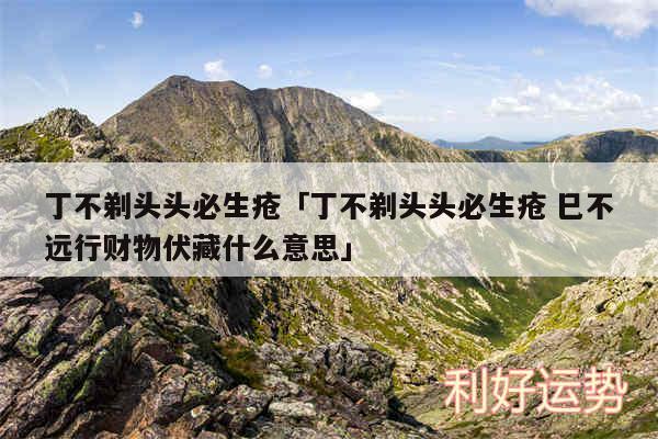 丁不剃头头必生疮及丁不剃头头必生疮 巳不远行财物伏藏什么意思