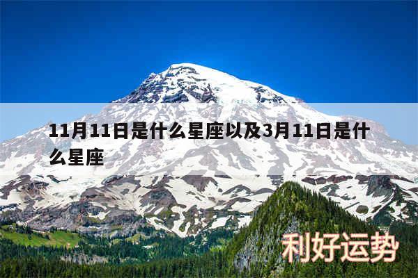11月11日是什么星座以及3月11日是什么星座