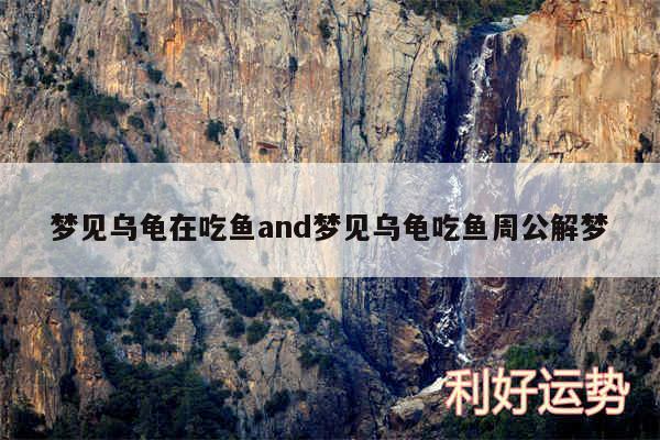 梦见乌龟在吃鱼and梦见乌龟吃鱼周公解梦