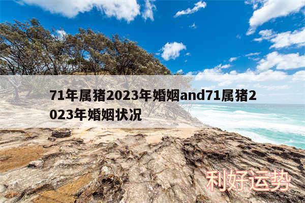 71年属猪2024年婚姻and71属猪2024年婚姻状况