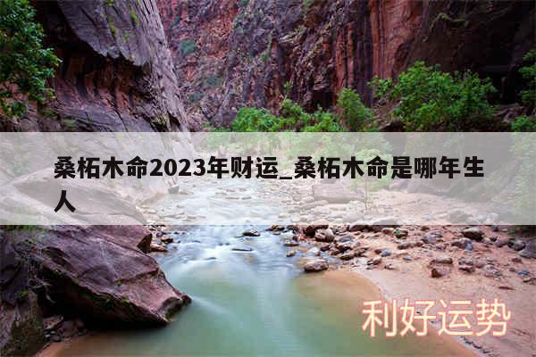 桑柘木命2024年财运_桑柘木命是哪年生人