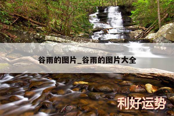 谷雨的图片_谷雨的图片大全
