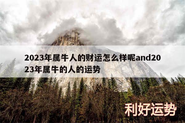 2024年属牛人的财运怎么样呢and2024年属牛的人的运势