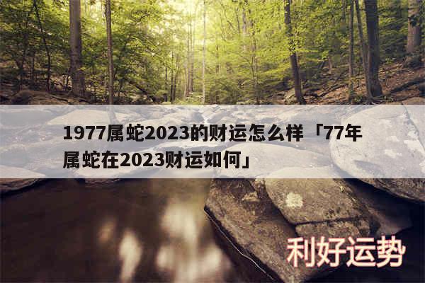 1977属蛇2024的财运怎么样及77年属蛇在2024财运如何